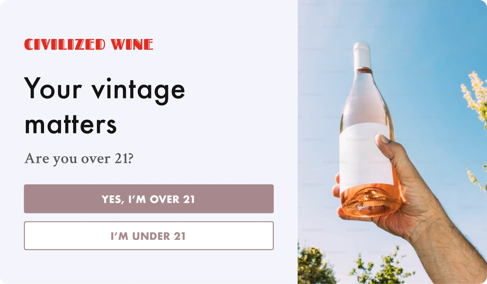 Bold & playful age-verification design